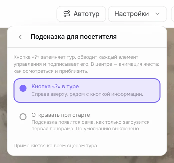 Пункт «Подсказка для посетителя»: «Кнопка «?» в туре» и «Открывать при старте»